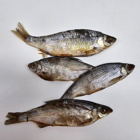 2e6fceb5 e731 49c2 b500 3926a4b3b3c1