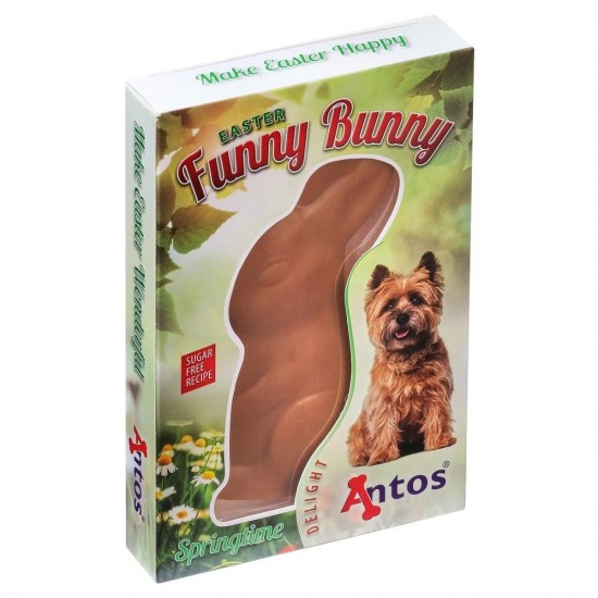 Easter funny bunny 1670483452