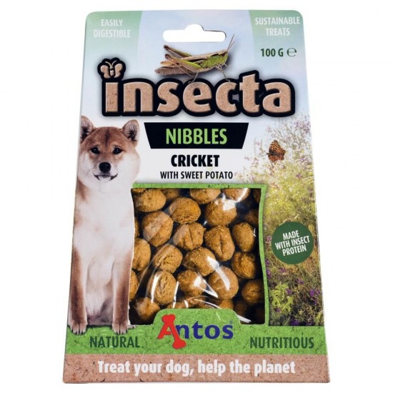 Insecta nibbles krekel en zoete aardappel 100 gr 1597662128