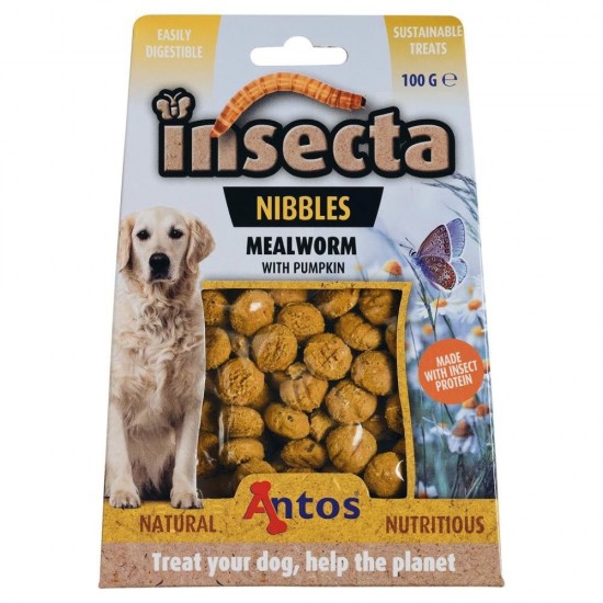 Insecta nibbles meelworm en pompoen 100 gr 1597298543