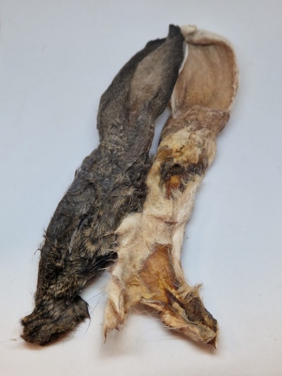 Konijnenoren met vacht