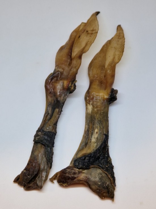 Konijnenoren natuurlijk